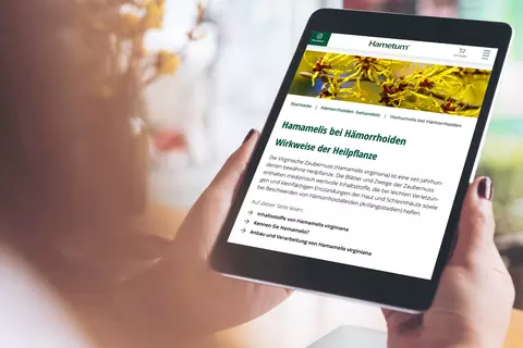 Frau hält Tablet mit Hametum-Website in der Hand