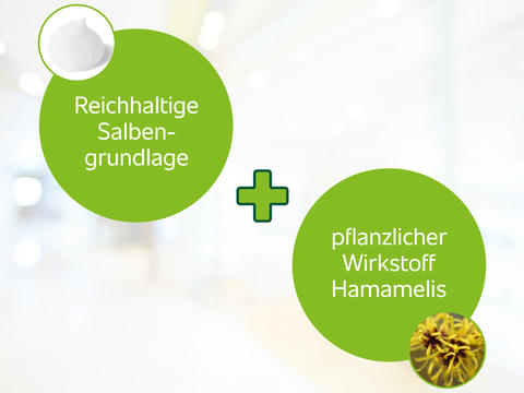 Hametum® Hämorrhoidensalbe mit reichhaltiger Salbengrundlage und dem pflanzlichen Wirkstoff aus Hamamelis